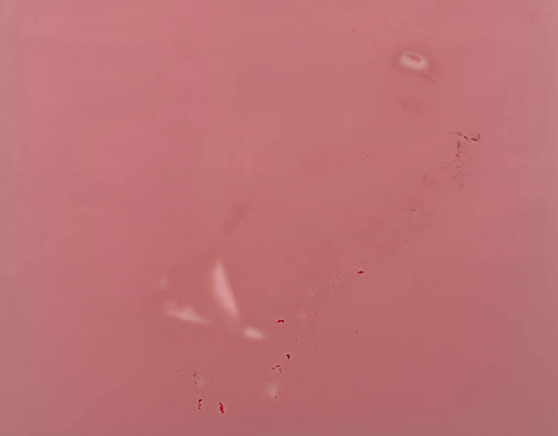 Detailaufnahme von Essigmutter